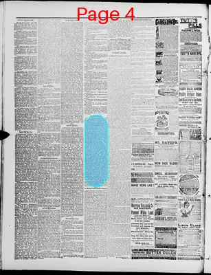 Page thumbnail for Washington Standard