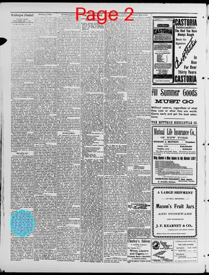 Page thumbnail for Washington Standard