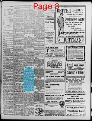 Page thumbnail for Washington Standard