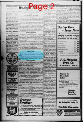 Page thumbnail for Washington Standard