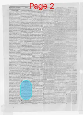 Page thumbnail for Washington Statesman