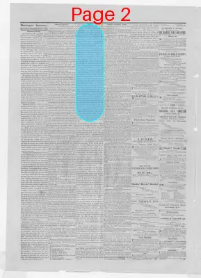 Page thumbnail for Washington Statesman