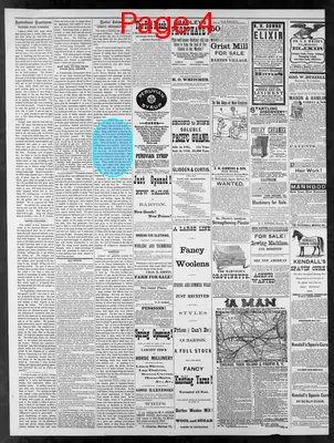 Page thumbnail for Orleans County Monitor
