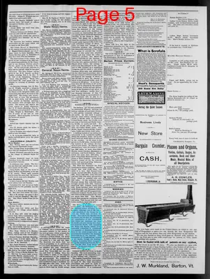 Page thumbnail for Orleans County Monitor