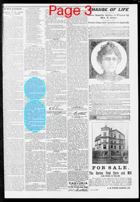 Page thumbnail for Orleans County Monitor