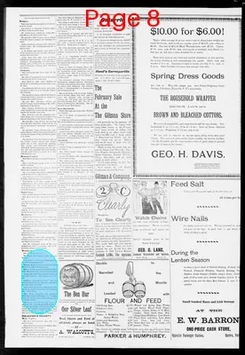 Page thumbnail for Orleans County Monitor