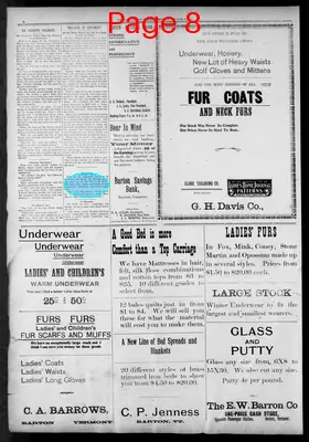 Page thumbnail for Orleans County Monitor