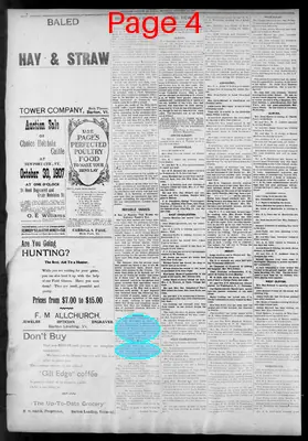 Page thumbnail for Orleans County Monitor