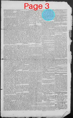 Page thumbnail for New Hampshire Statesman