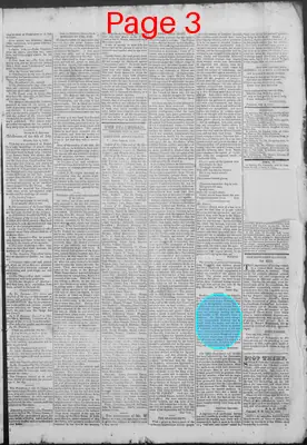 Page thumbnail for New Hampshire Statesman