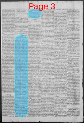Page thumbnail for New Hampshire Statesman