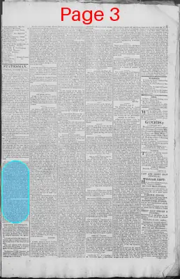 Page thumbnail for New Hampshire Statesman