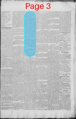 Page thumbnail for New Hampshire Statesman