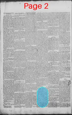 Page thumbnail for New Hampshire Statesman