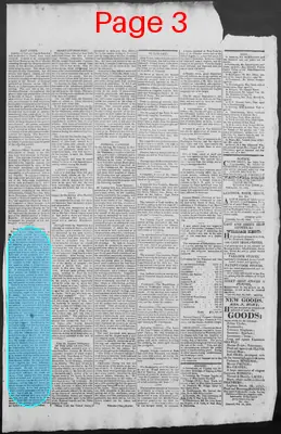 Page thumbnail for New Hampshire Statesman