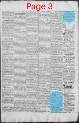 Page thumbnail for New Hampshire Statesman