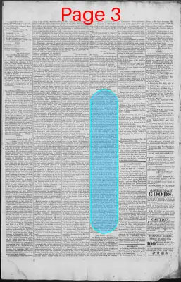 Page thumbnail for New Hampshire Statesman