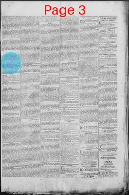 Page thumbnail for New Hampshire Statesman