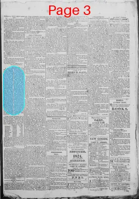 Page thumbnail for New Hampshire Statesman