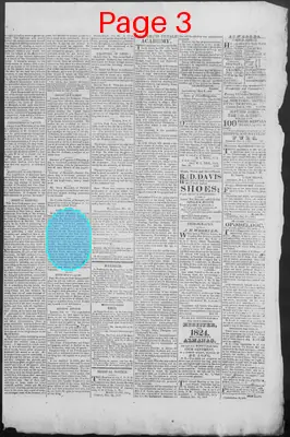 Page thumbnail for New Hampshire Statesman
