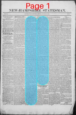 Page thumbnail for New Hampshire Statesman