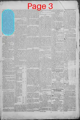 Page thumbnail for New Hampshire Statesman