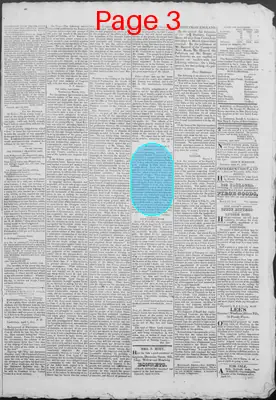 Page thumbnail for New Hampshire Statesman
