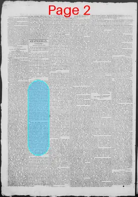 Page thumbnail for New Hampshire Statesman