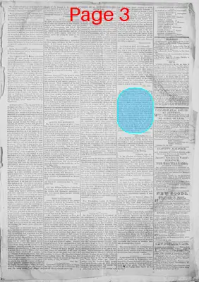 Page thumbnail for New Hampshire Statesman