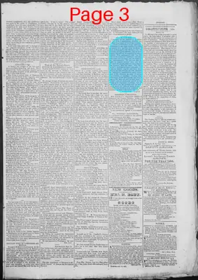 Page thumbnail for New Hampshire Statesman