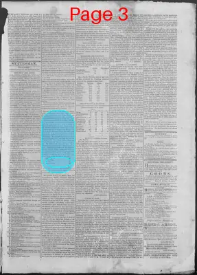 Page thumbnail for New Hampshire Statesman