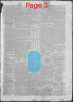 Page thumbnail for New Hampshire Statesman