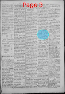 Page thumbnail for New Hampshire Statesman