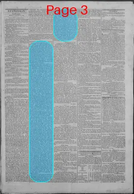 Page thumbnail for New Hampshire Statesman