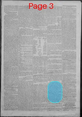 Page thumbnail for New Hampshire Statesman