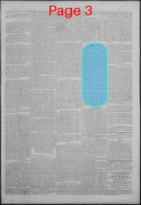 Page thumbnail for New Hampshire Statesman