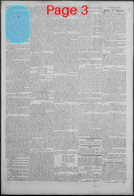 Page thumbnail for New Hampshire Statesman