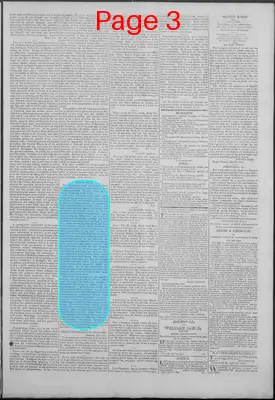 Page thumbnail for New Hampshire Statesman