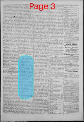 Page thumbnail for New Hampshire Statesman