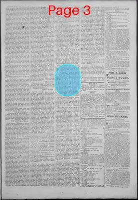 Page thumbnail for New Hampshire Statesman