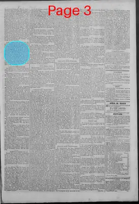 Page thumbnail for New Hampshire Statesman