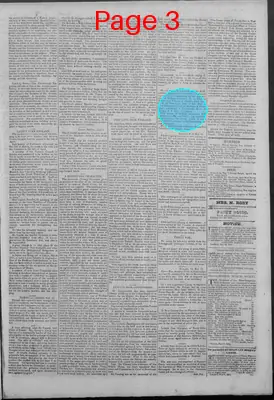 Page thumbnail for New Hampshire Statesman