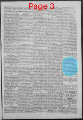 Page thumbnail for New Hampshire Statesman