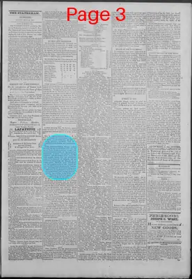 Page thumbnail for New Hampshire Statesman