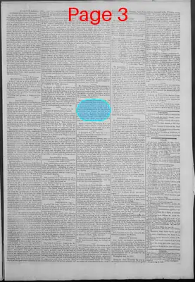 Page thumbnail for New Hampshire Statesman