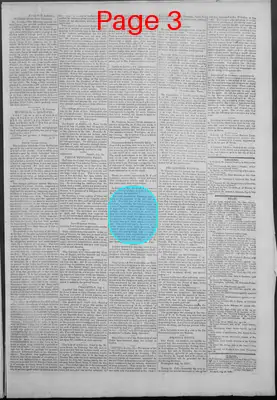 Page thumbnail for New Hampshire Statesman