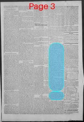 Page thumbnail for New Hampshire Statesman
