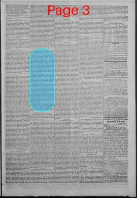 Page thumbnail for New Hampshire Statesman