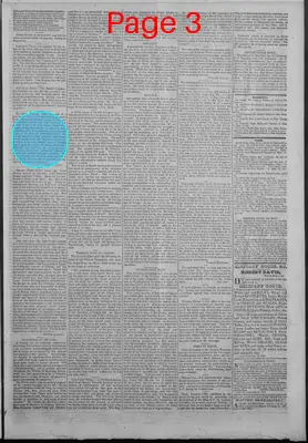 Page thumbnail for New Hampshire Statesman