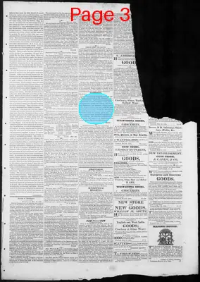 Page thumbnail for Concord Register